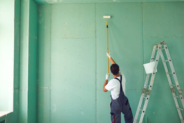 Professional Mold Removal in Kensington, NY