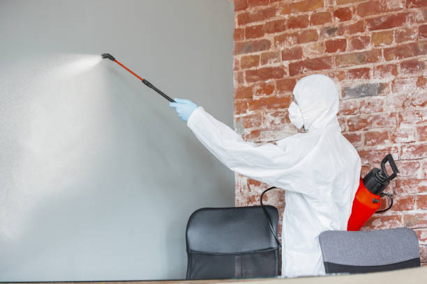 Best Real Estate Mold Inspection  in Kensington, NY