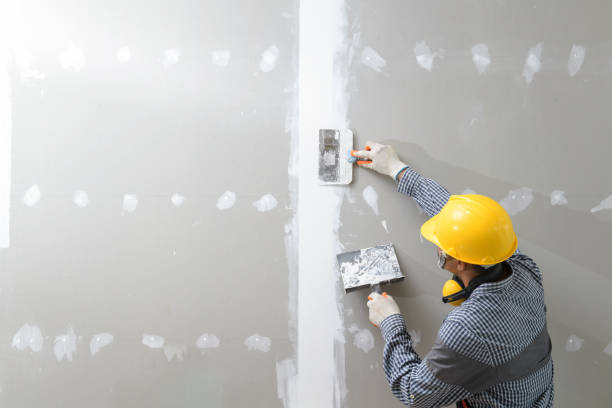Best Post-Construction Mold Inspection  in Kensington, NY