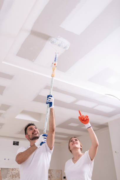Best Mold Odor Removal Services  in Kensington, NY