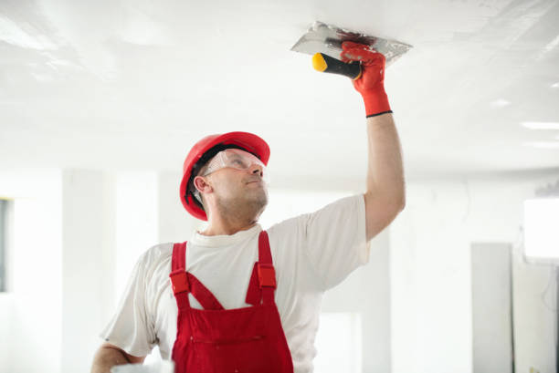 Best Mold Documentation for Insurance Claims  in Kensington, NY