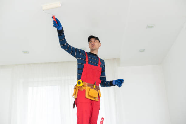 Best Mold Odor Removal Services  in Kensington, NY