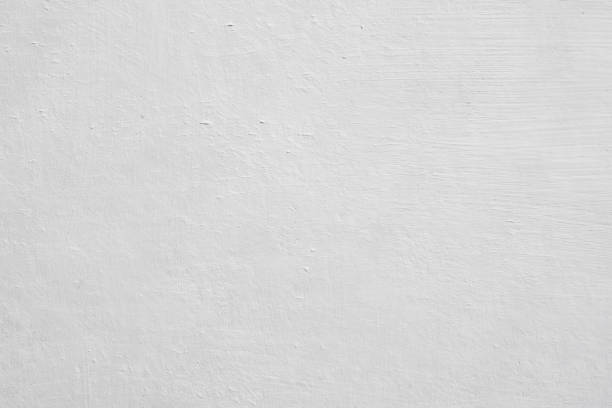 Mold Odor Removal Services in Kensington, NY