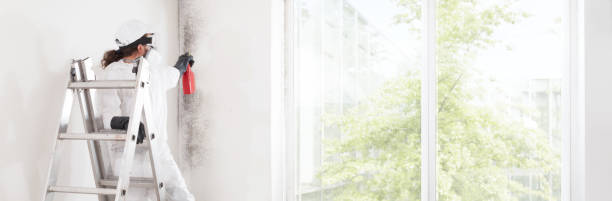 Best Air Quality Testing for Mold Spores  in Kensington, NY