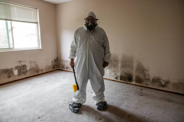 Best Emergency Mold Remediation  in Kensington, NY