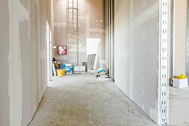 Best Commercial Mold Inspection  in Kensington, NY