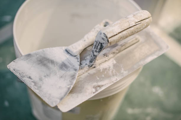 Best Mold Damage Restoration  in Kensington, NY